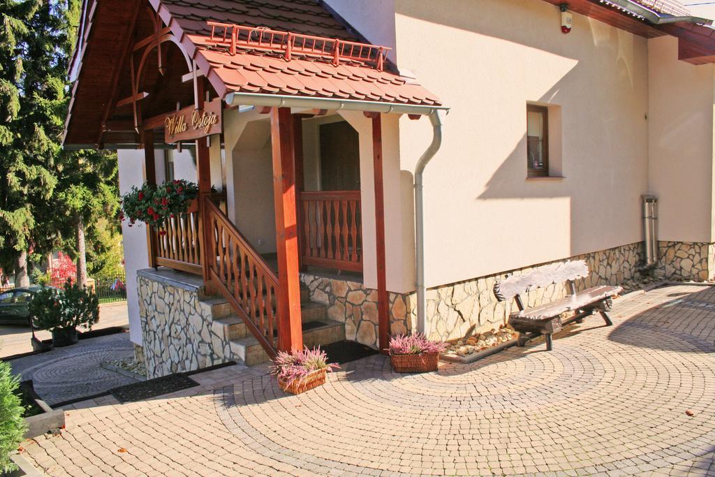Willa Ostoja Swieradow-Zdroj Exterior foto